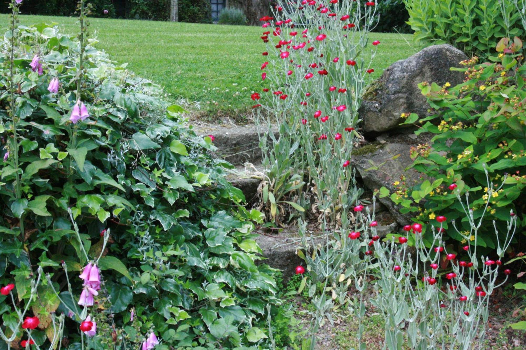 Bed and Breakfast Au Pont Ricoul Saint-Pierre-de-Plesguen Esterno foto