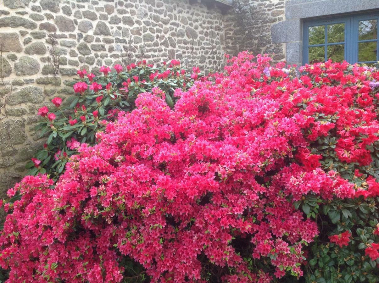 Bed and Breakfast Au Pont Ricoul Saint-Pierre-de-Plesguen Esterno foto